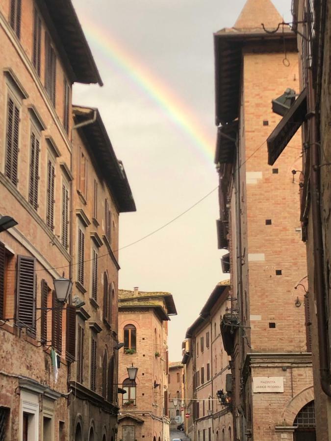 Salicotto 56 *