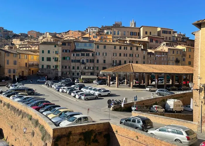 Salicotto 56