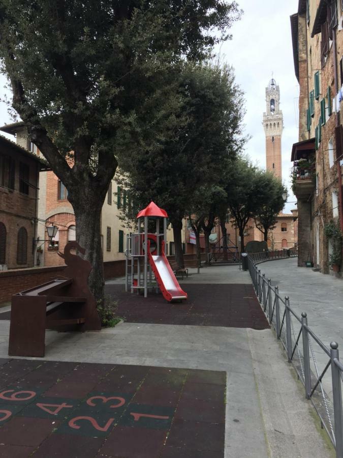 Salicotto 56 Pensión